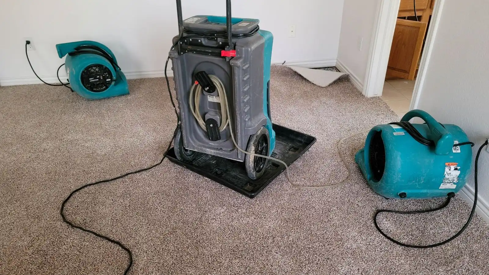 Dehumidifier and air movers set up to dry a carpeted room
