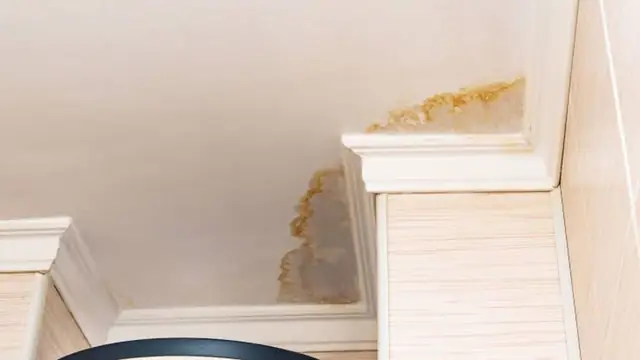 Water stain spreading across a ceiling along the crown molding