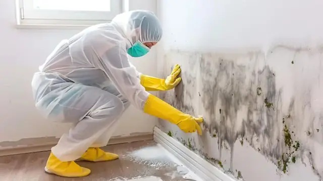 Worker in protective clothing kneeling to clean mold along a baseboard wall